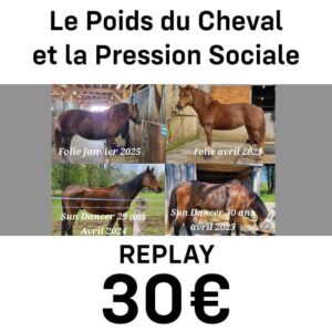 Replay du webinaire : Le Poids du Cheval et la Pression Sociale