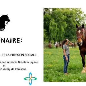 Replay du webinaire : Le Poids du Cheval et la Pression Sociale