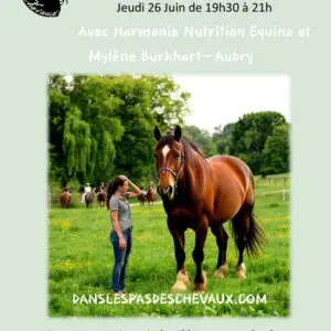 Webinaire : le poids du cheval et la pression sociale