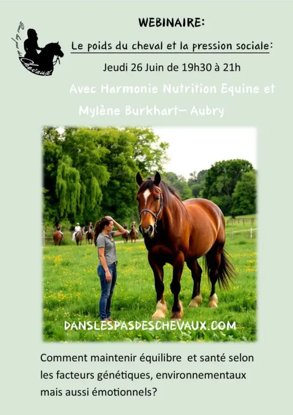 Webinaire : le poids du cheval et la pression sociale