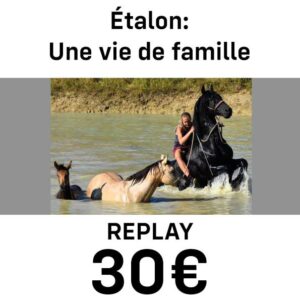 Etalons, une vie en Famille