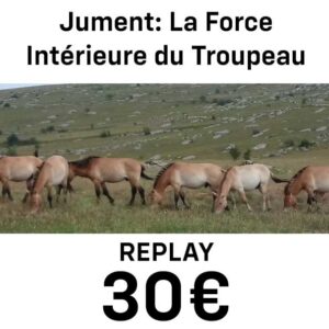 Juments, la Force Intérieure du Troupeau