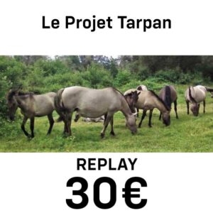 Le Projet Tarpan
