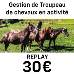 Vie en troupeau et activité régulière, est ce possible? Comment maintenir l'équilibre?