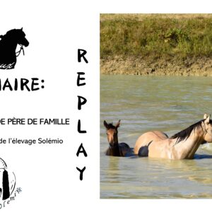 Etalons, une vie en Famille