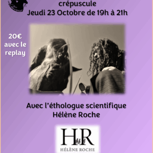 Les accompagner dans leur Crépuscule