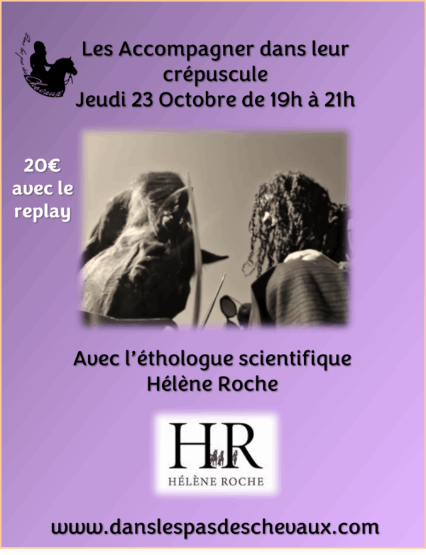 Les accompagner dans leur Crépuscule