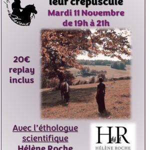 Les accompagner dans leur Crépuscule