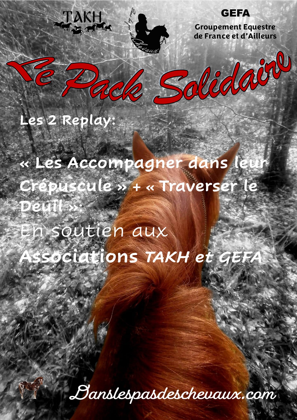 Packs Solidaire: Replay "Les Accompagner dans leur Crépuscule" + "Traverser le Deuil"