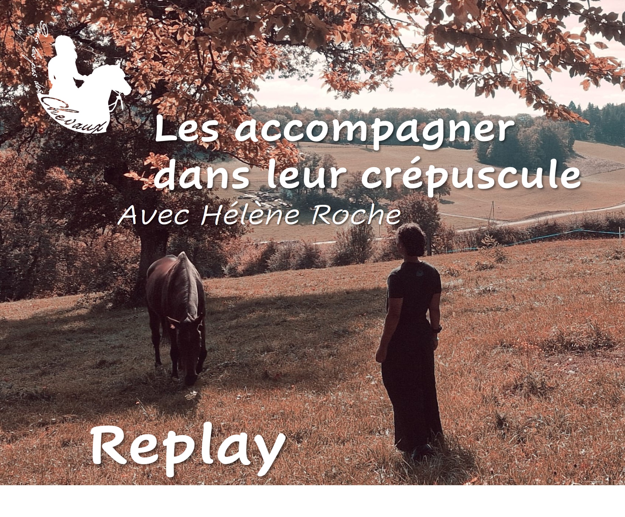 REPLAY: Les Accompagner dans leur Crépuscule