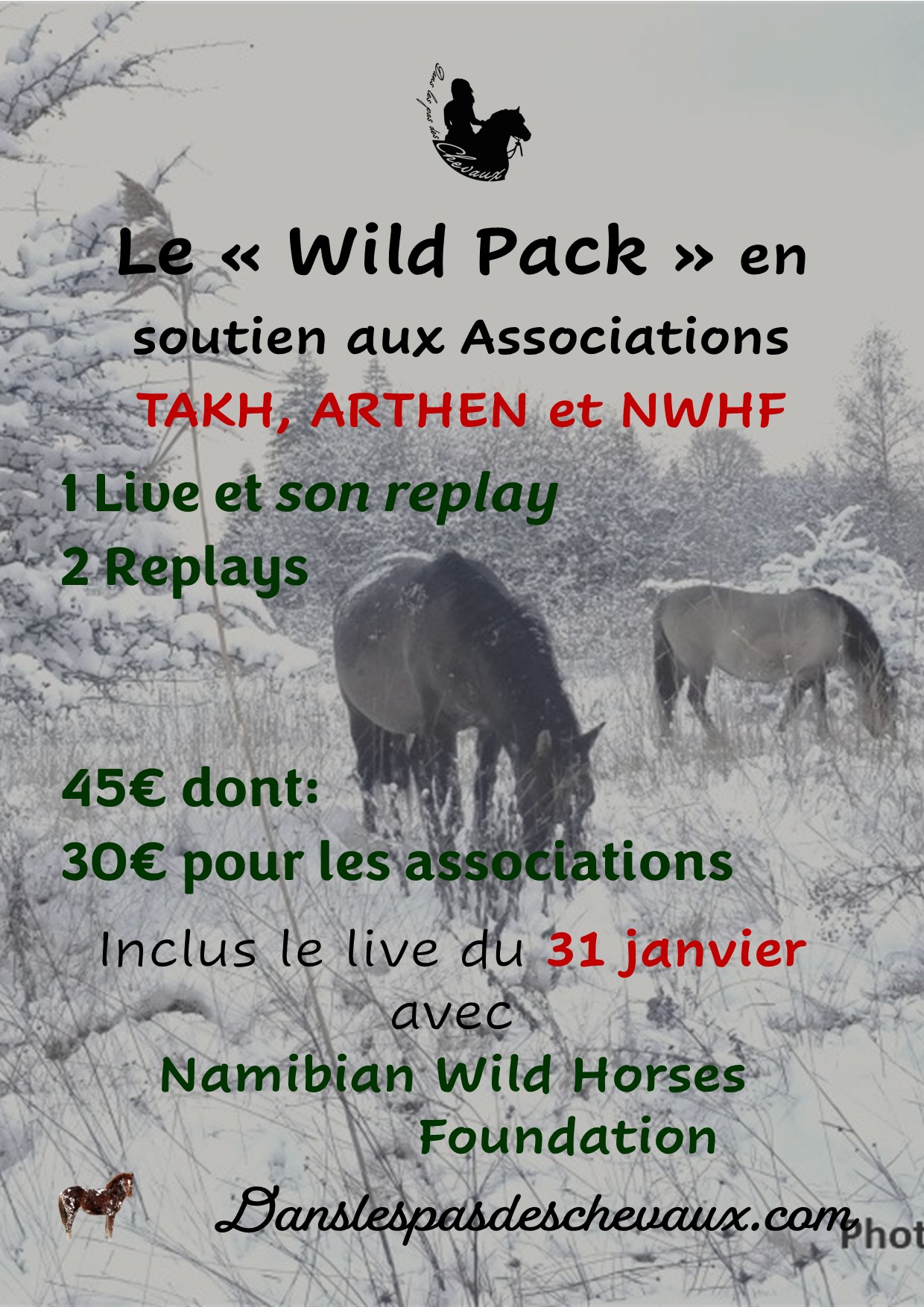WILD PACK: Soutenez les Chevaux Sauvages et Féraux