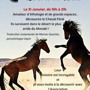 Le 31 Janvier de 19h à 21h: Découvrez le Cheval Féral du Namibe