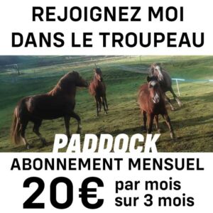 Abonnement Paddock, 20€ par mois sur 3 mois
