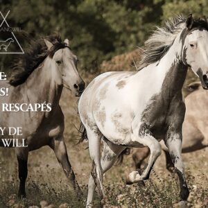 Mustang: Sacrés et Rescapés