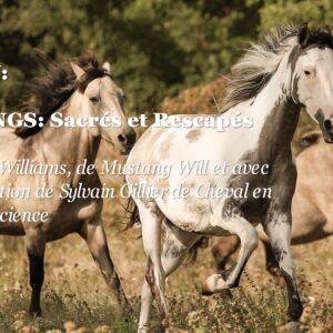 Replay: MUSTANGS: Sacrés et Rescapés