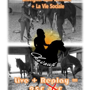 Promotion: Enseigner sans Dominer + Vie Sociale